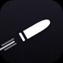 Bullet