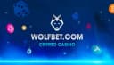 Wolfbet Crypto Casino
