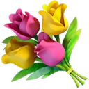 Flowershow