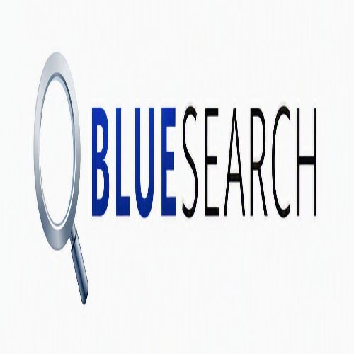 BlueSearch