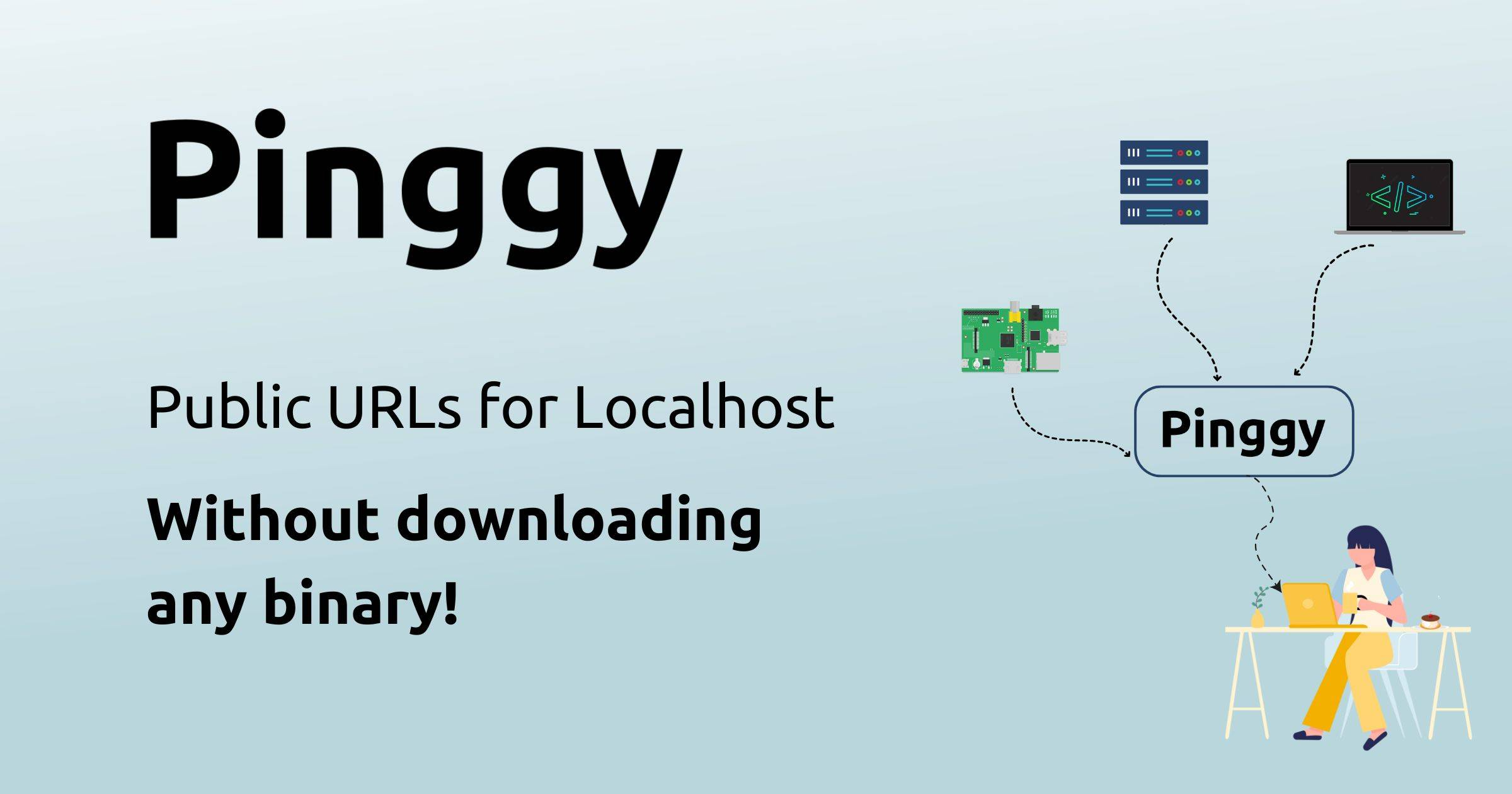Pinggy