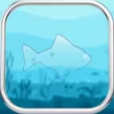Aquarium Widgets