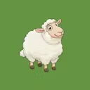Shepherd
