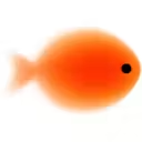 Goldfish