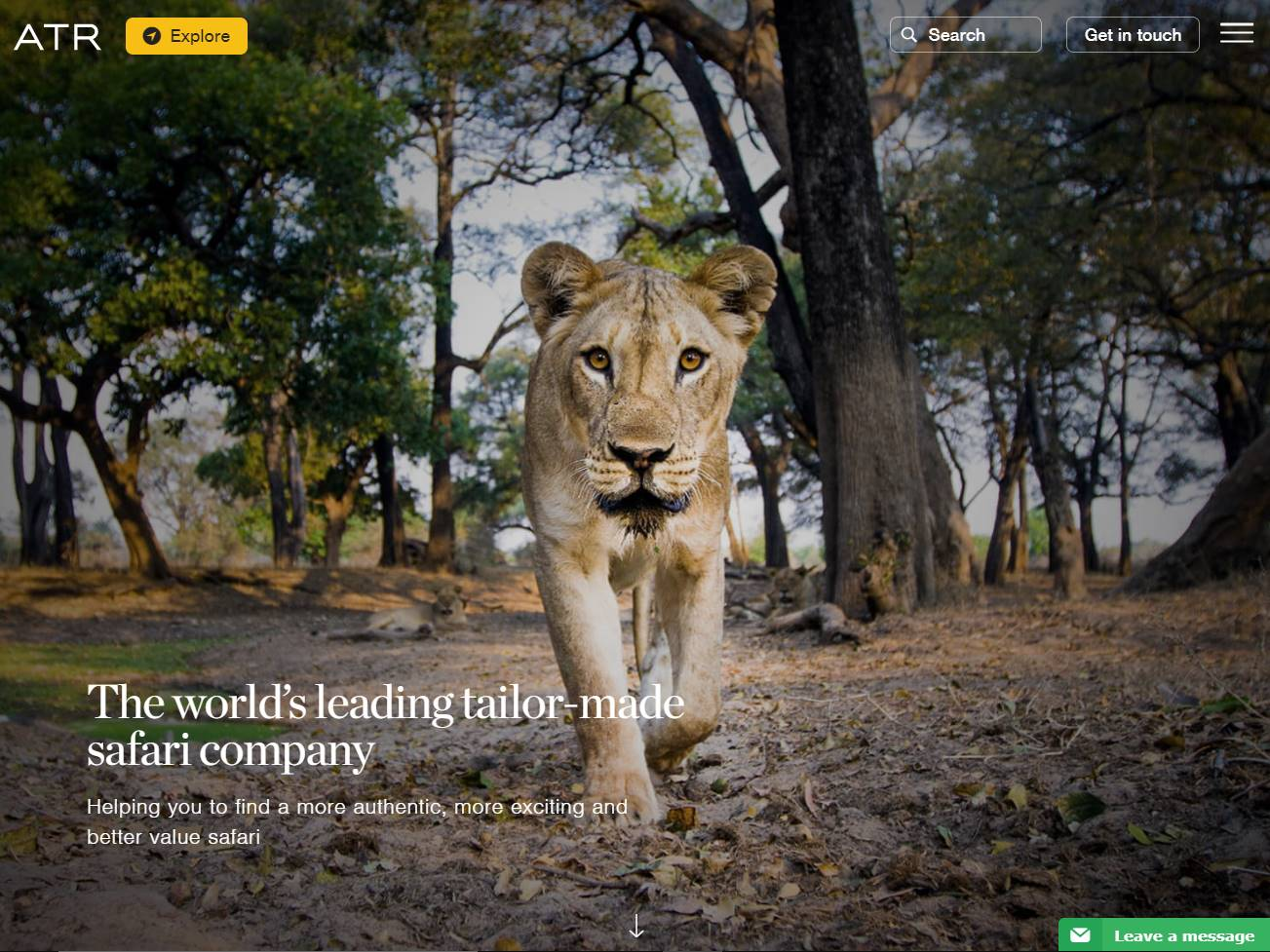 Screenshot of the Africa Travel Resource website
