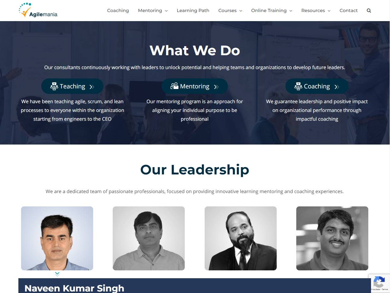Screenshot of the Agilemania website