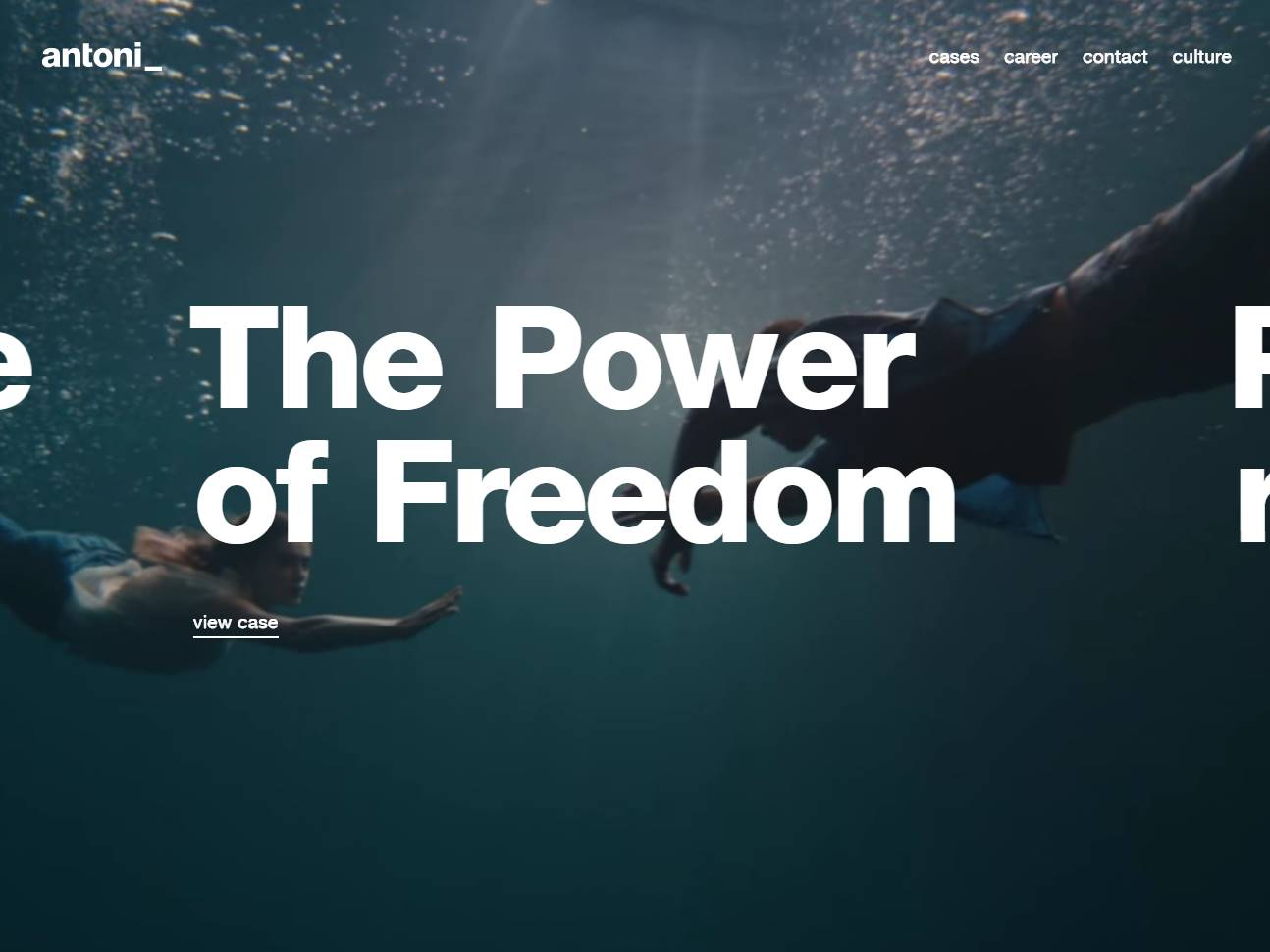 Screenshot of the Antoni website