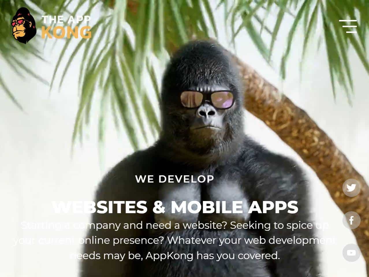 Screenshot of the AppKong website