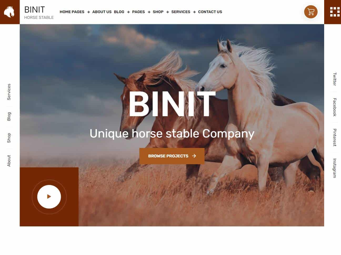 Screenshot of the Binit website