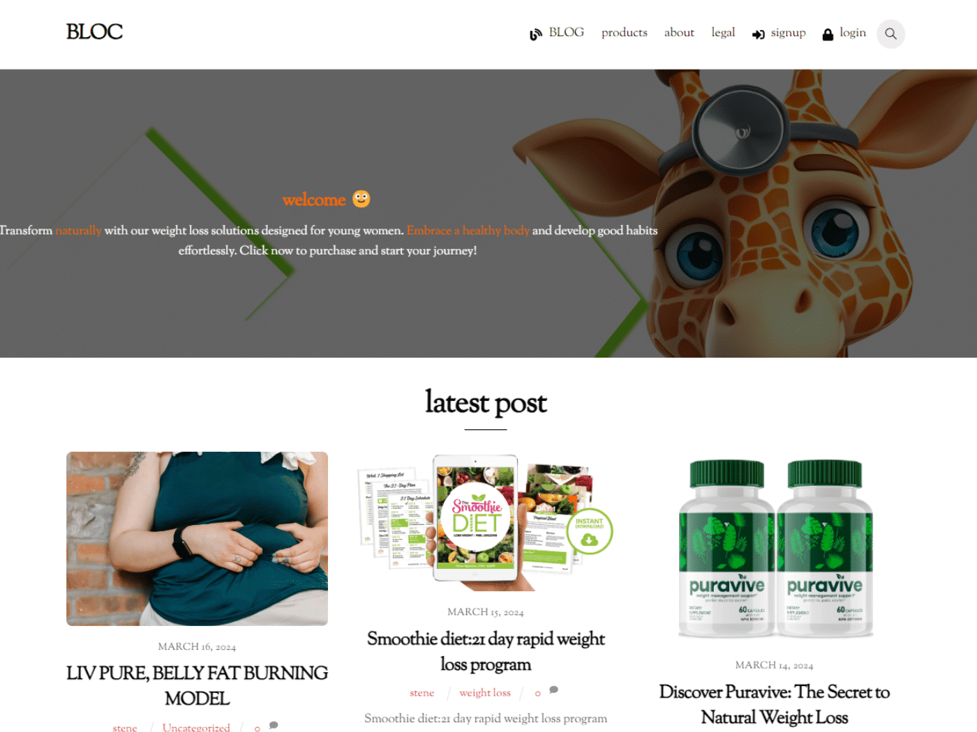 Screenshot of the Bloc market website