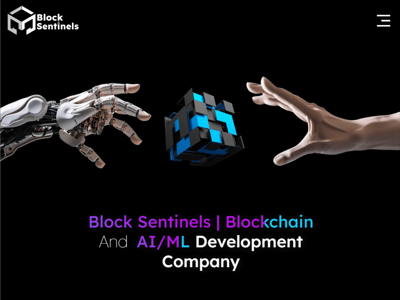 Screenshot of the Block Sentinels website