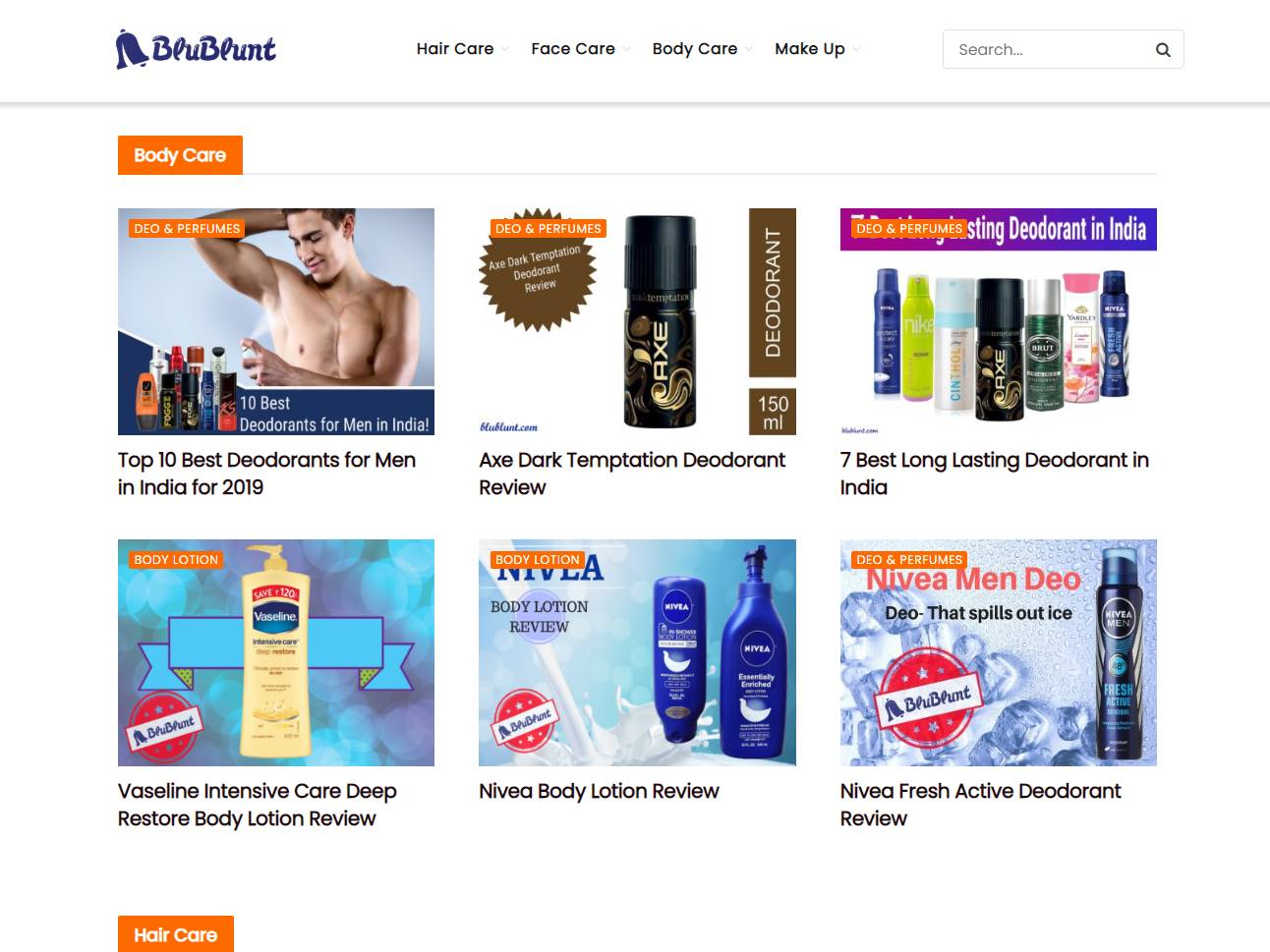 Screenshot of the Blublunt website