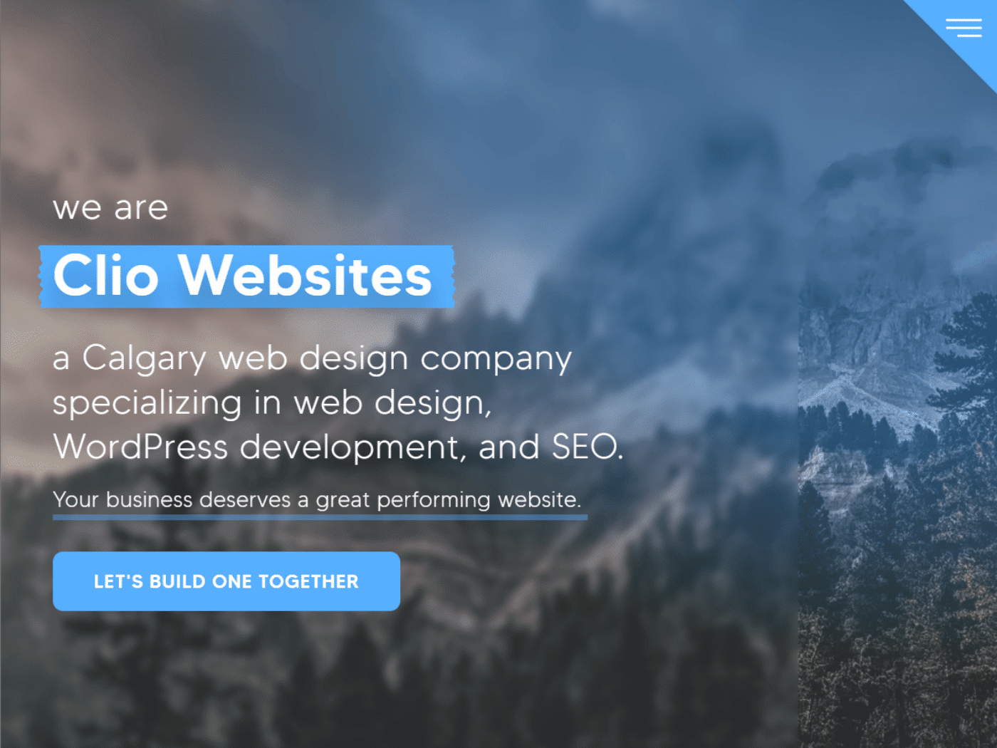 Screenshot of the Clio Websites website