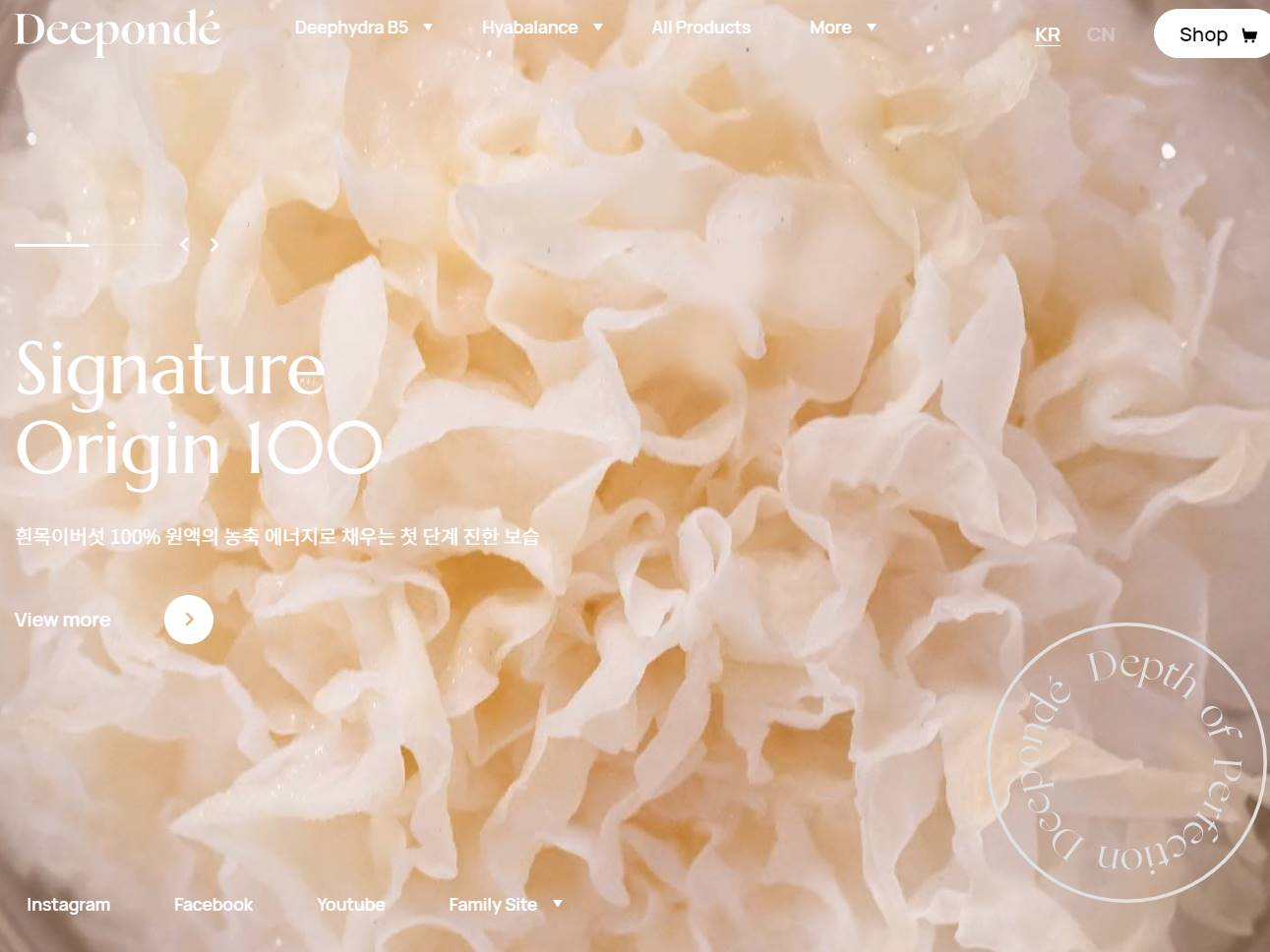 Screenshot of the Deepondé website