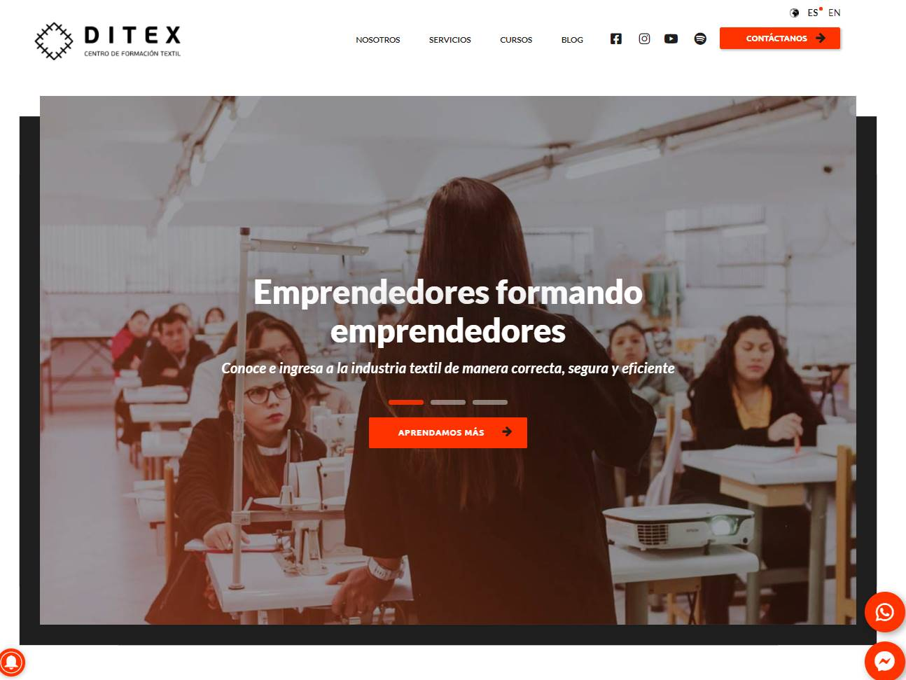 Screenshot of the Ditex website