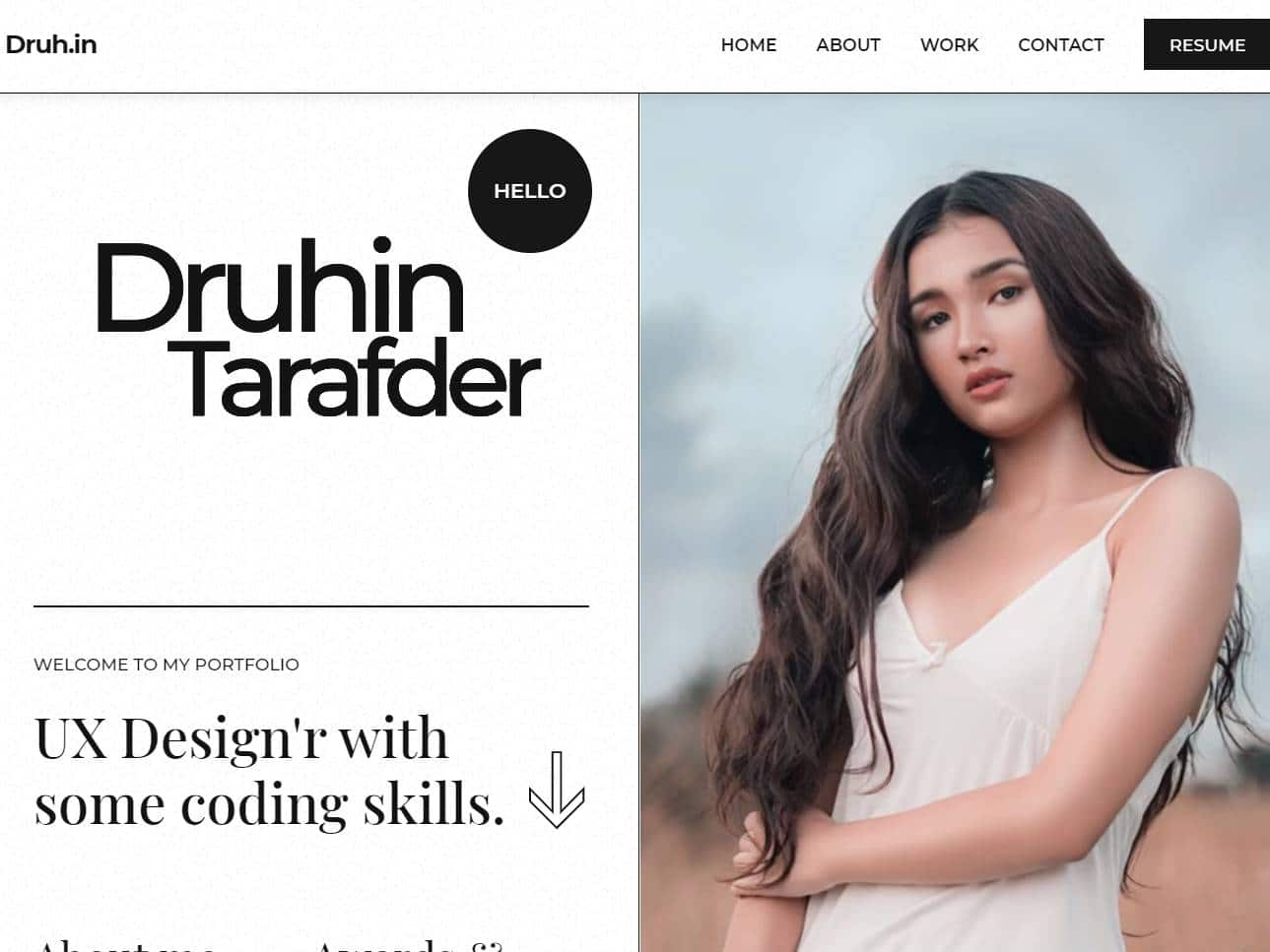 Screenshot of the Druh website