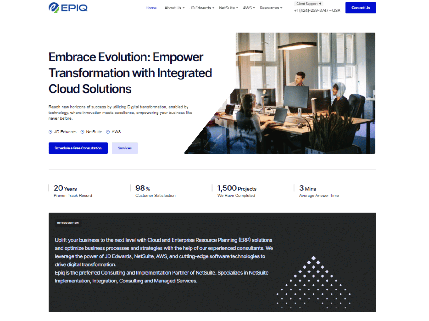 Screenshot of the EPIQ Infotech website