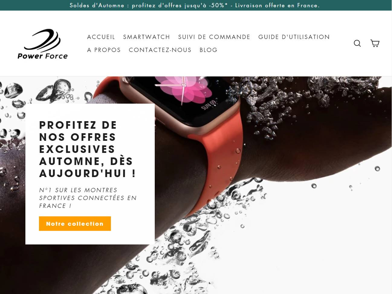 Screenshot of the Fit Power Force website