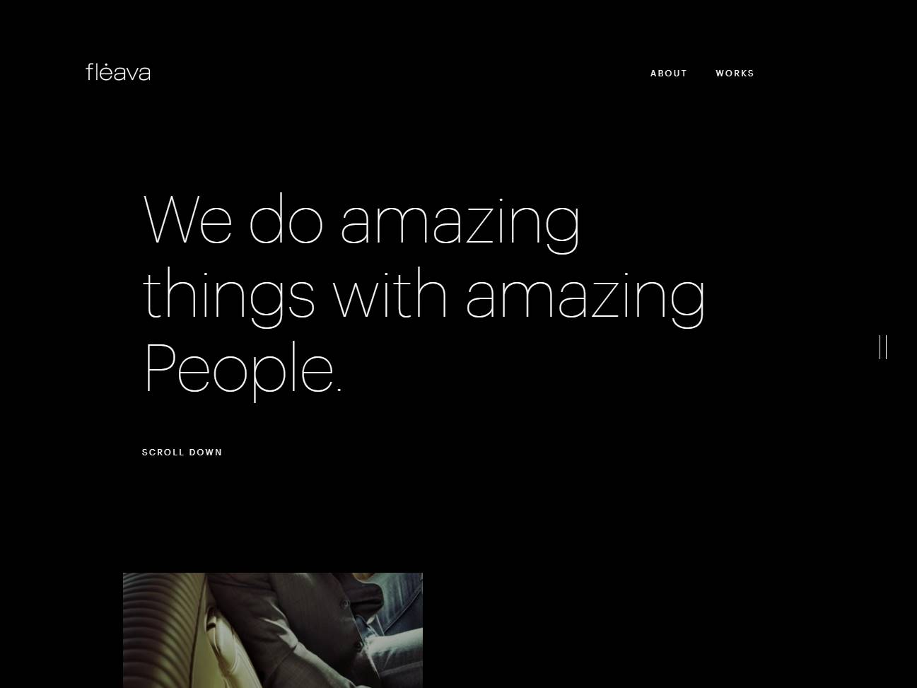 Screenshot of the Fleava Works website