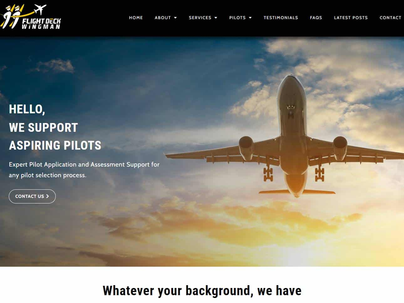 Screenshot of the Flight Deck Wingman website