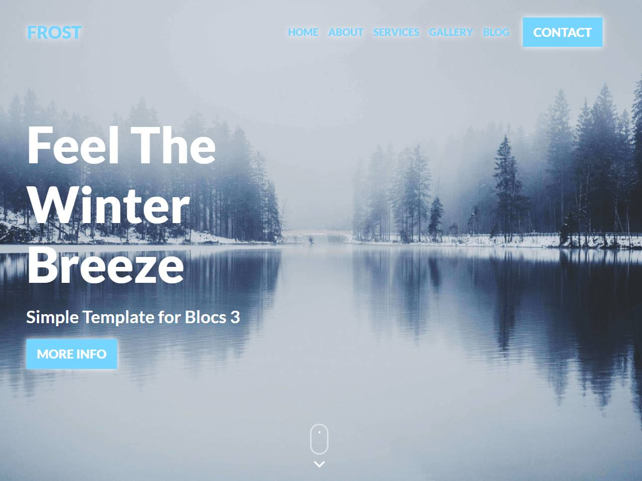 Screenshot of the Frost website