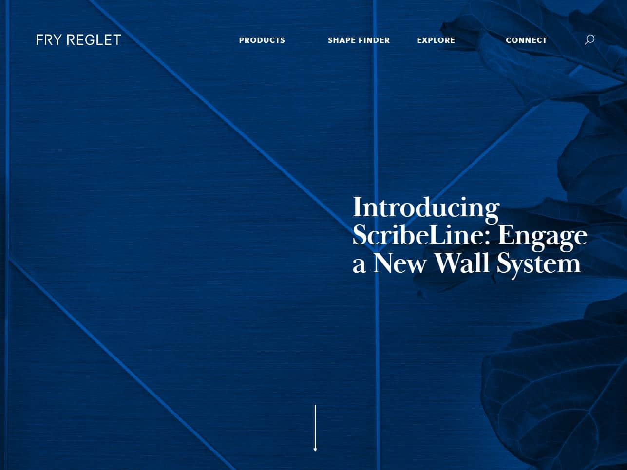 Screenshot of the Fry Reglet website