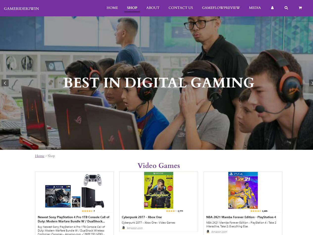 Screenshot of the Gamerider2win Shop website