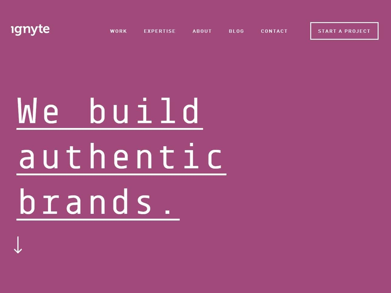 Screenshot of the Ignyte website