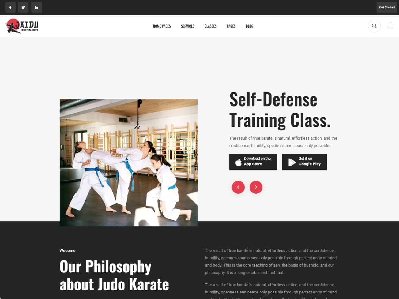 Screenshot of the Jaidu website