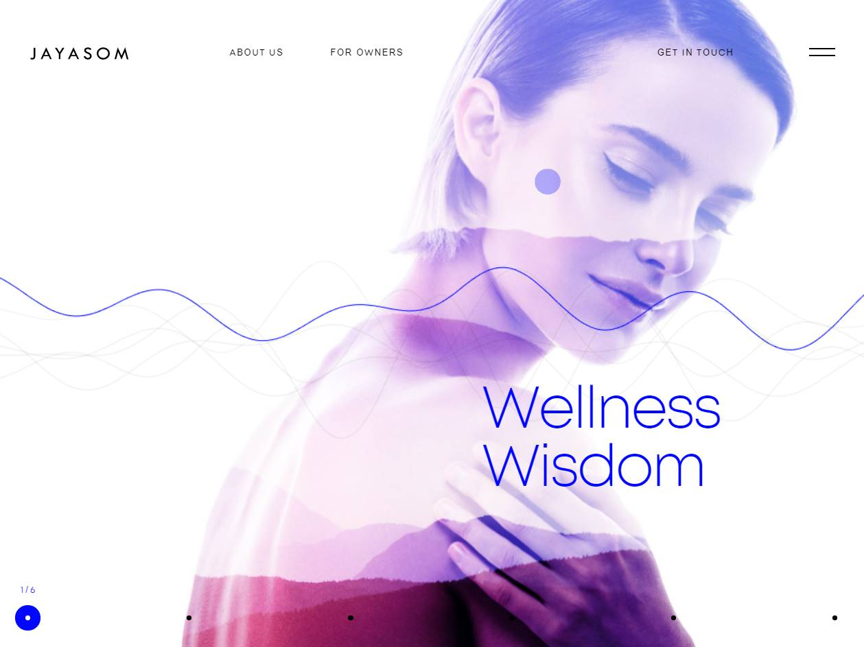 Screenshot of the Jayasom Wellness Wisdom website