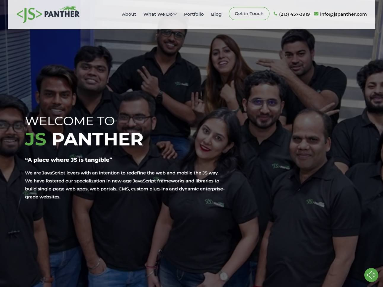 Screenshot of the JS Panther website