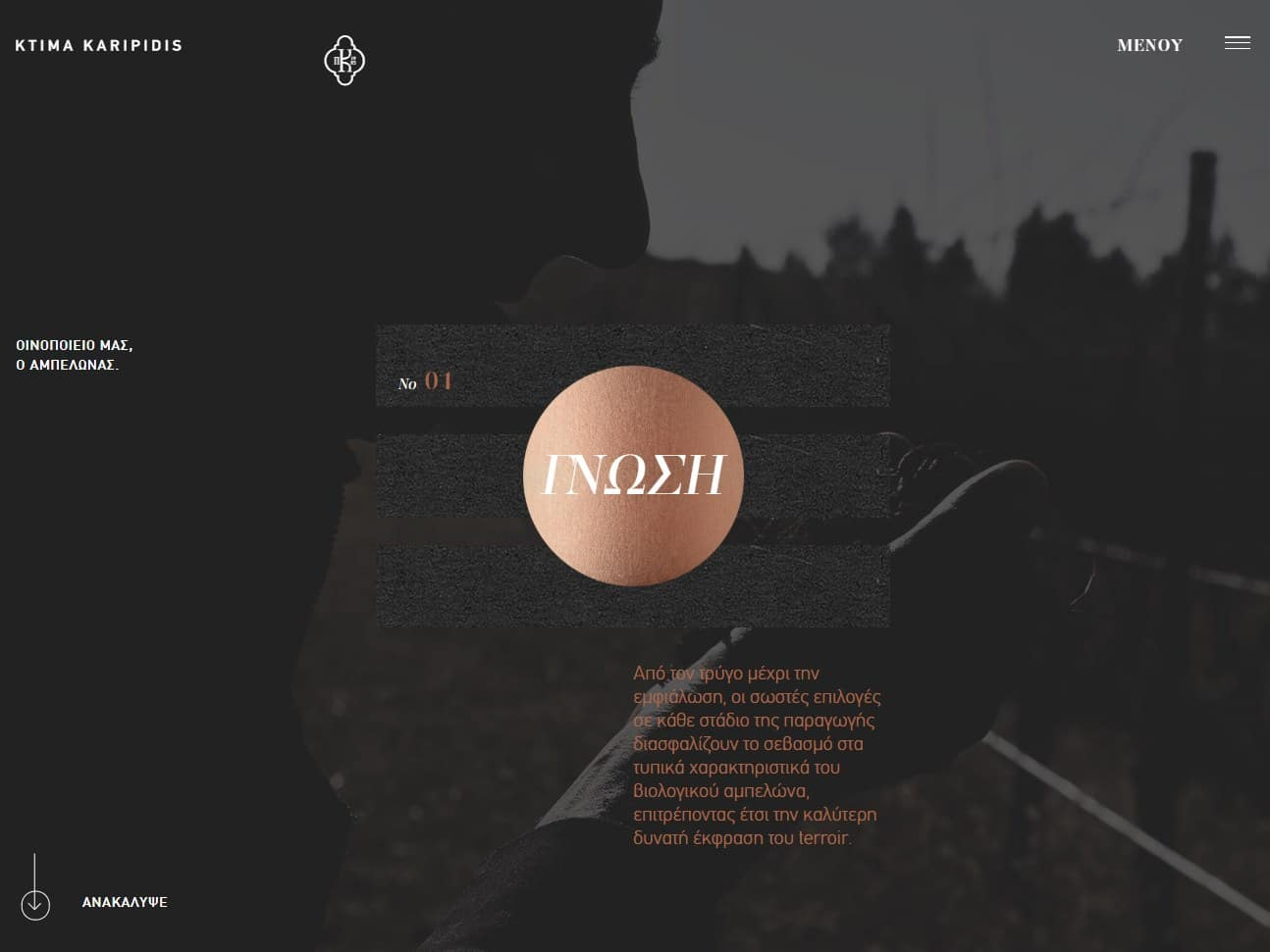 Screenshot of the Ktima Karipidis website
