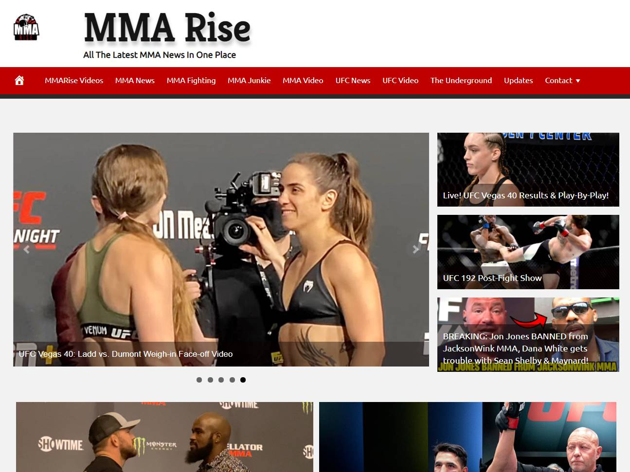 Screenshot of the MMARise website