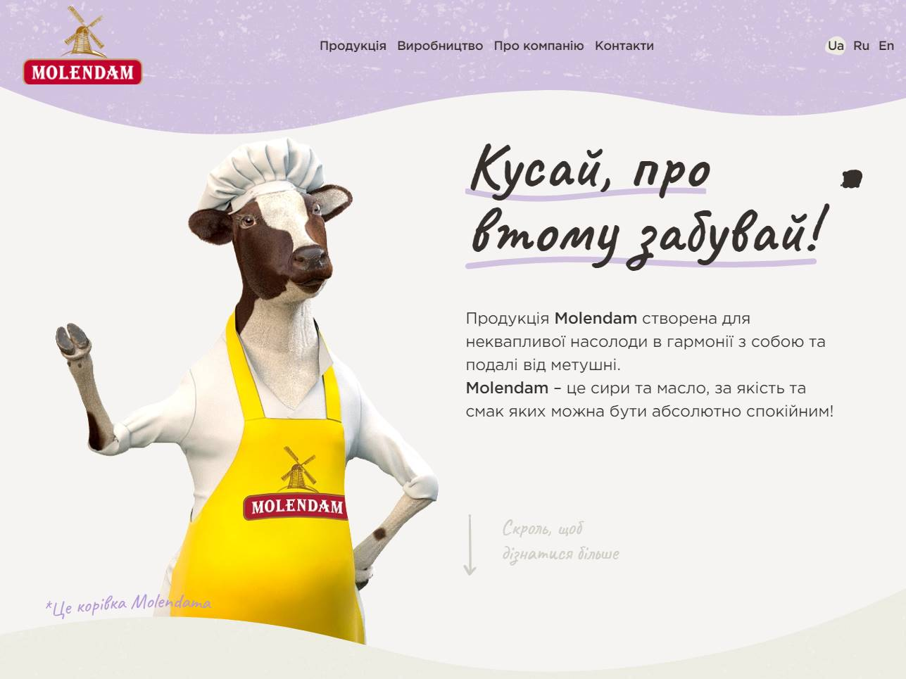 Screenshot of the Molendam website