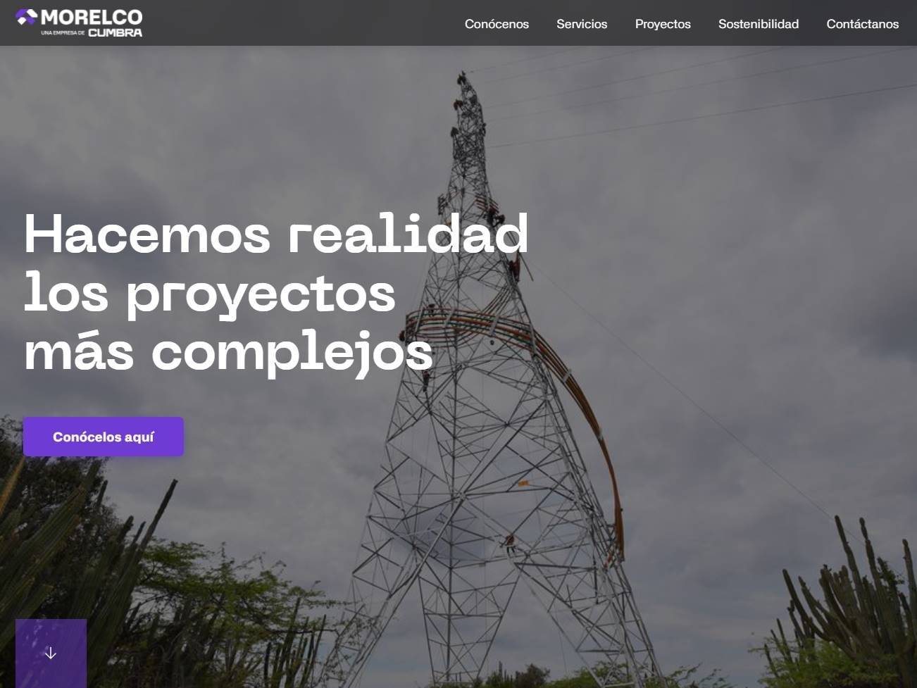 Screenshot of the Morelco website