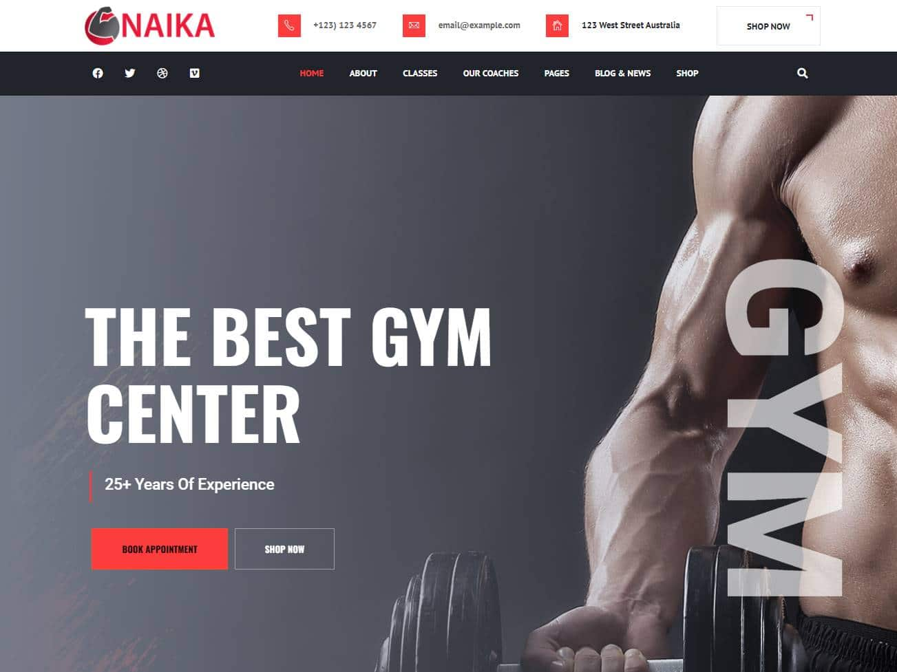 Screenshot of the Naika website
