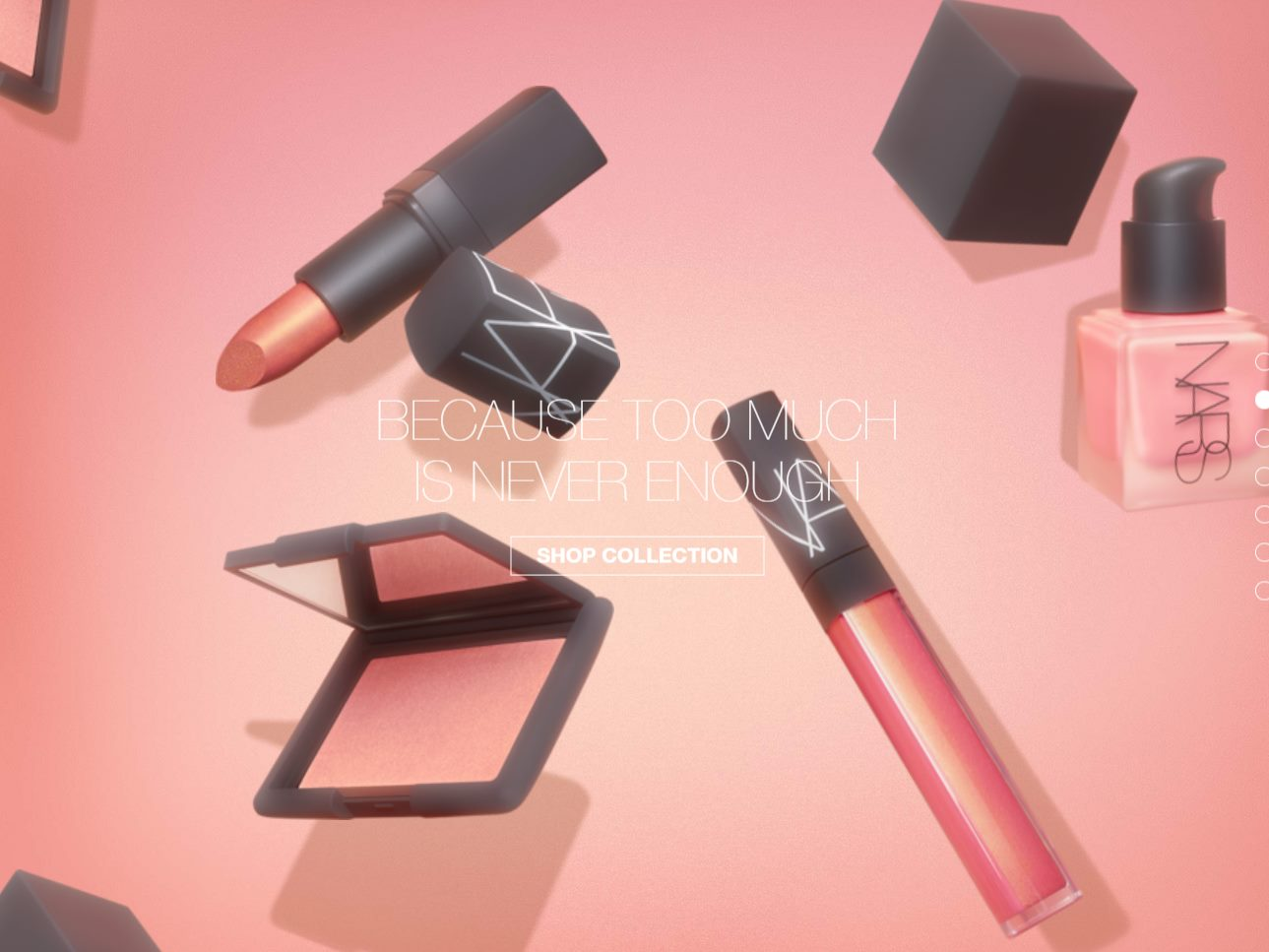 Screenshot of the NARS Collection website