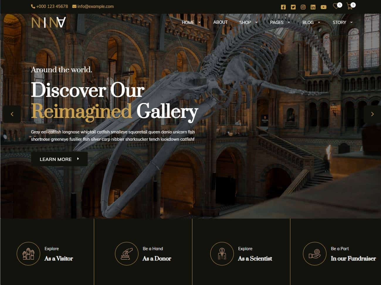 Screenshot of the Nina React website