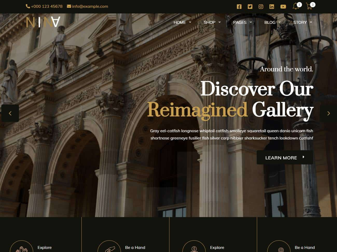 Screenshot of the Nina website