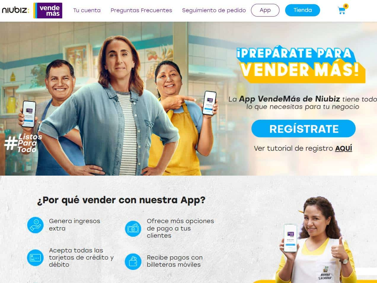 Screenshot of the NIUBIZ VENDEMAS PAGE website
