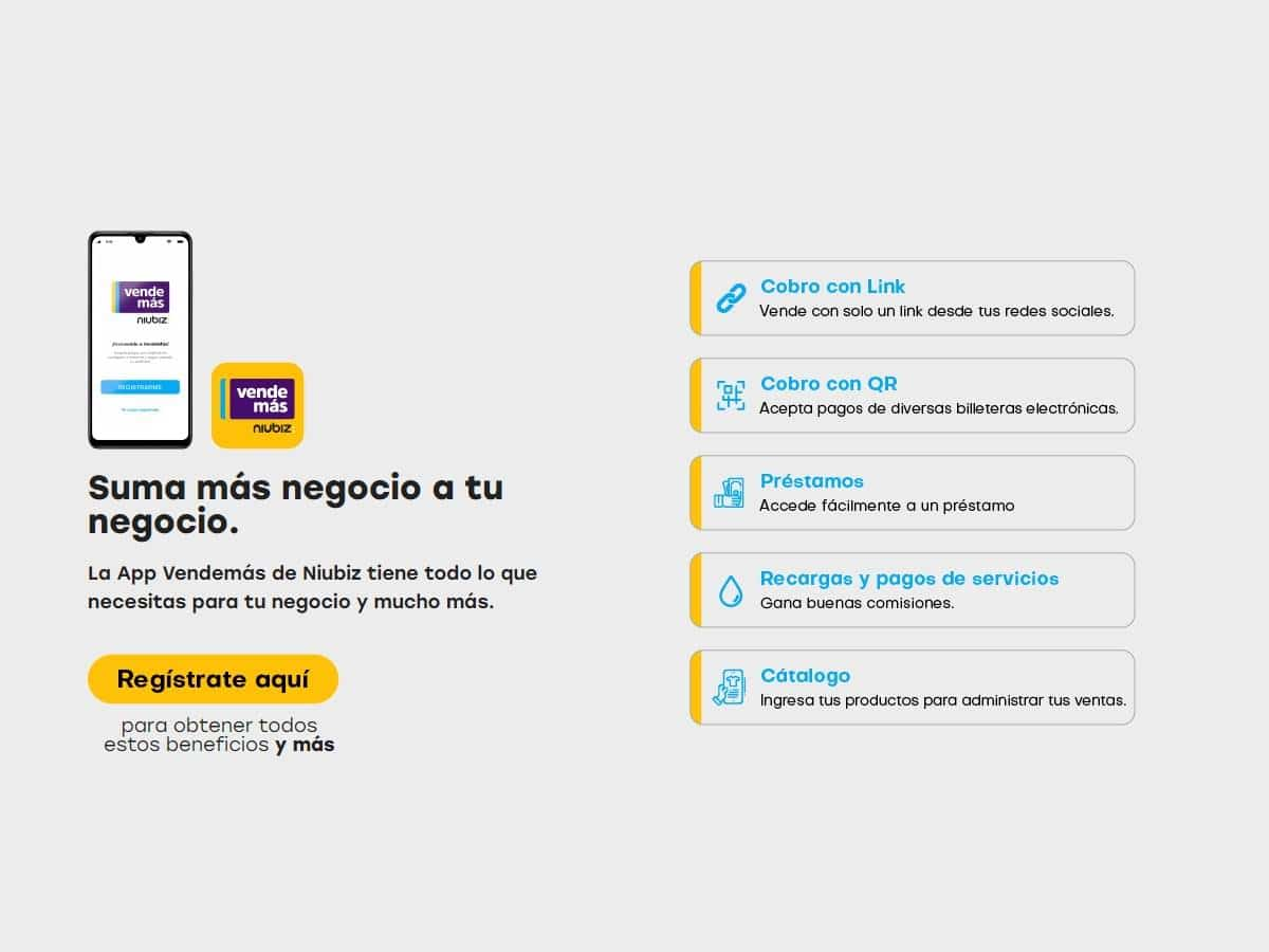 Screenshot of the NIUBIZ VENDEMAS website