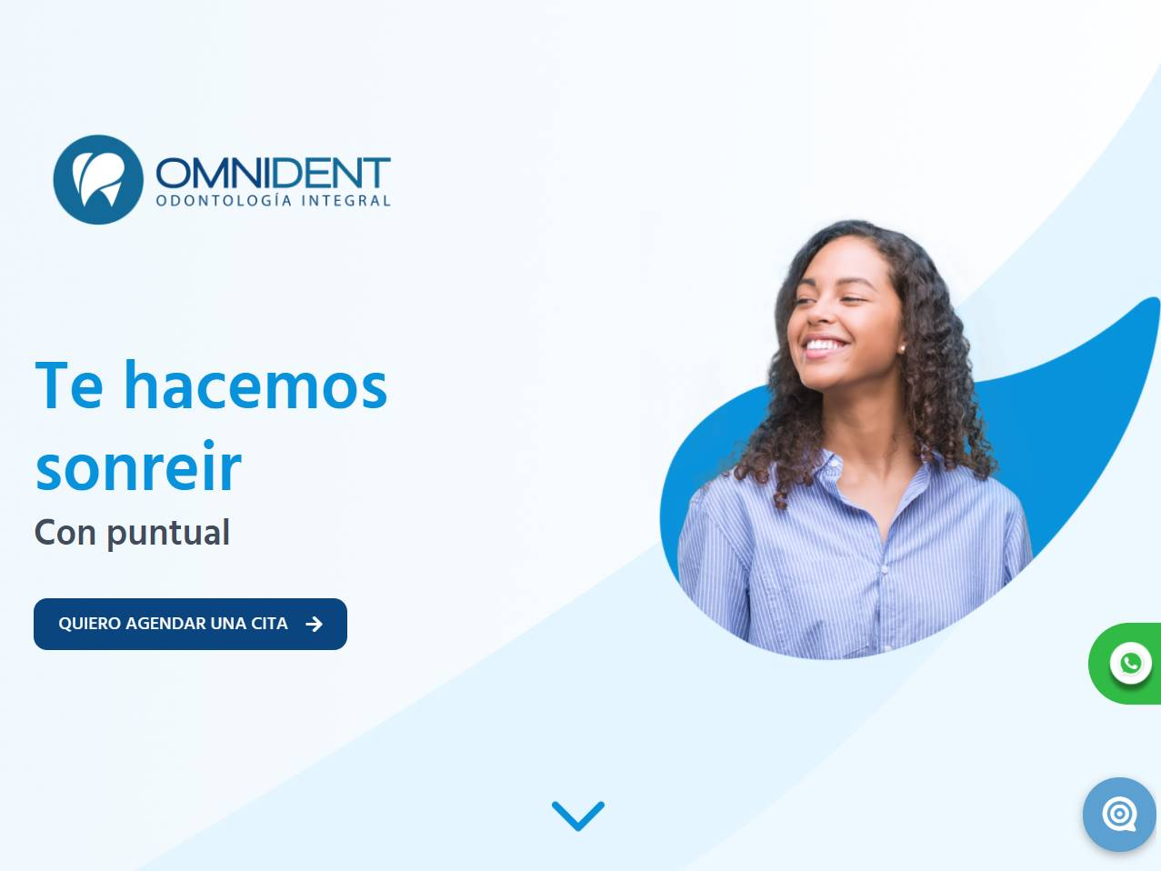 Screenshot of the Omnident website