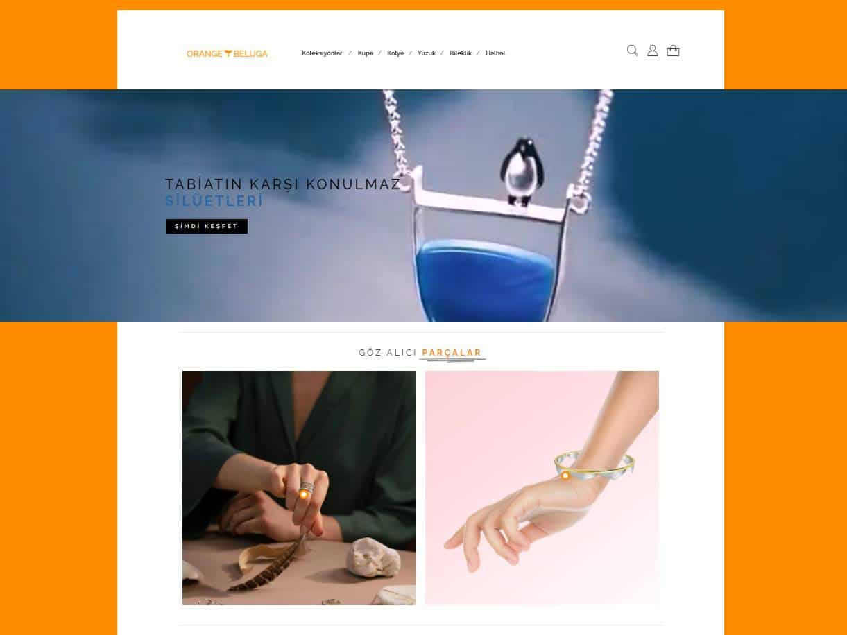 Screenshot of the Orange Beluga website