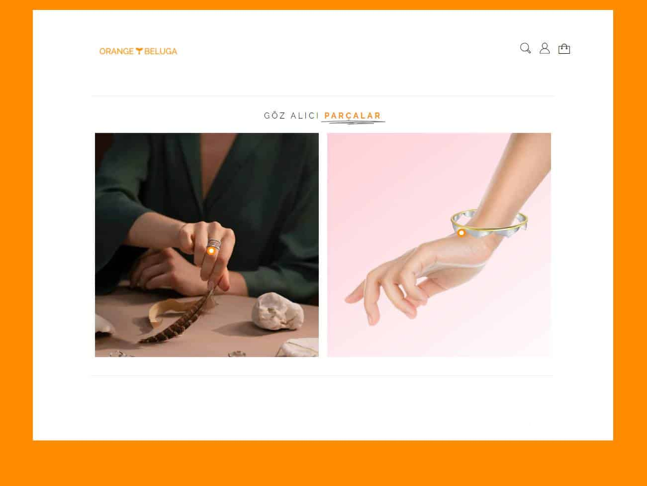 Screenshot of the Orange Beluga website