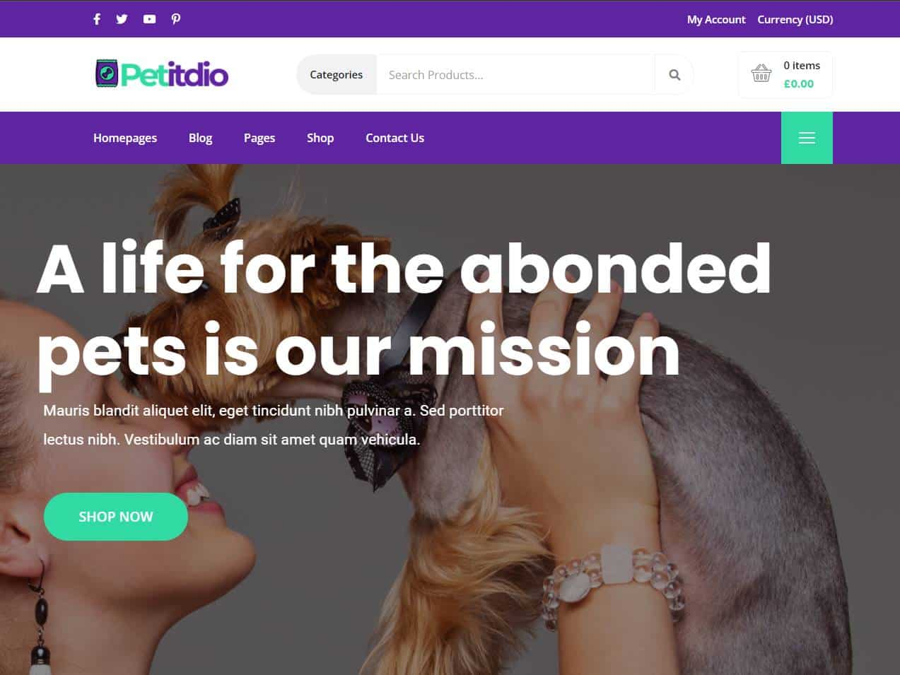 Screenshot of the Petitudio website