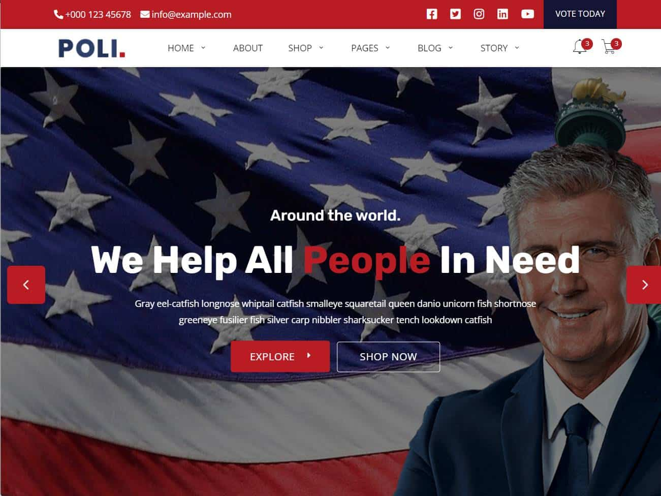 Screenshot of the Poli website