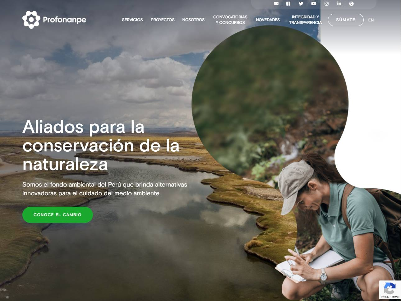 Screenshot of the Profonanpe website