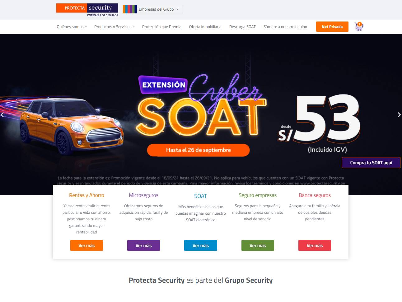Screenshot of the Protecta Security website