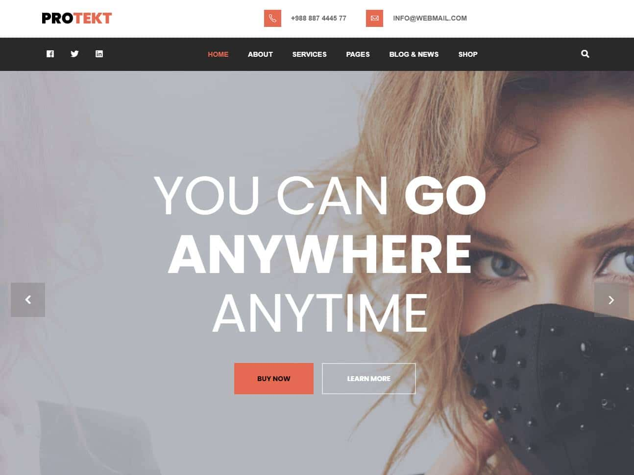 Screenshot of the Protekt website