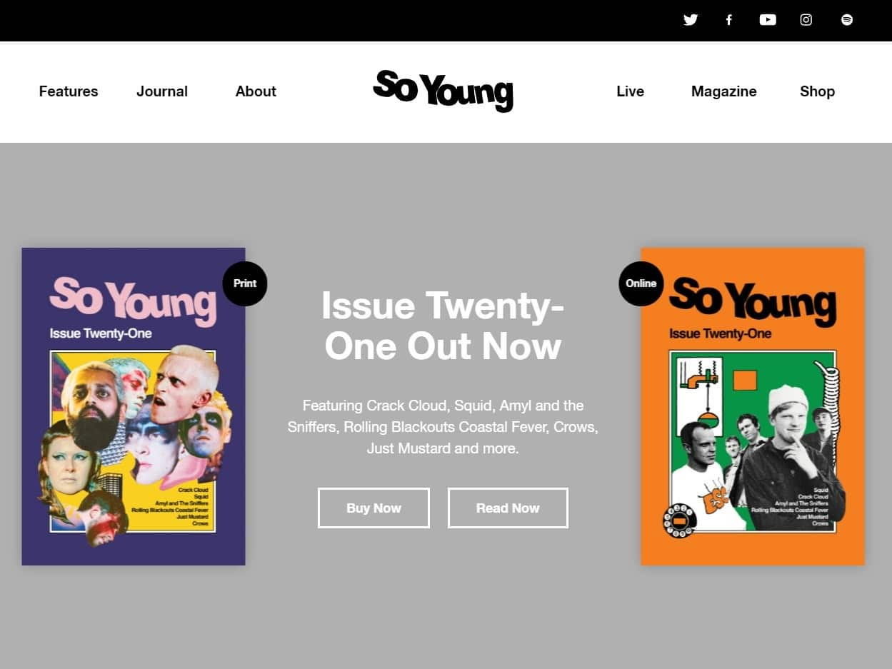 Screenshot of the So Young Magazine website